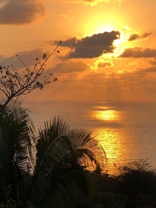 View over the Mexican beachfront at the NLP Retreat