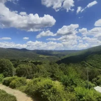 View from the house 4
